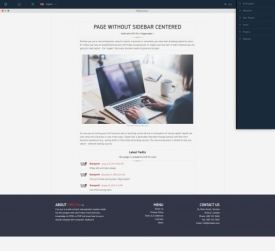 CMS Pro